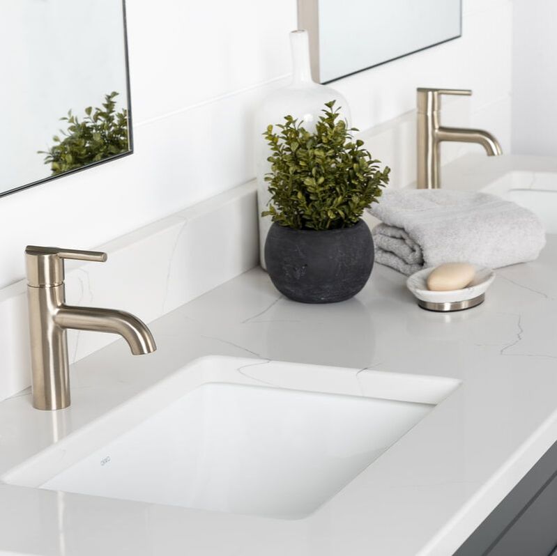 Stonewood quartz vanity top with double undermount sinks, brushed nickel single hole faucets and a plant in small black pot and next to a soap dish.